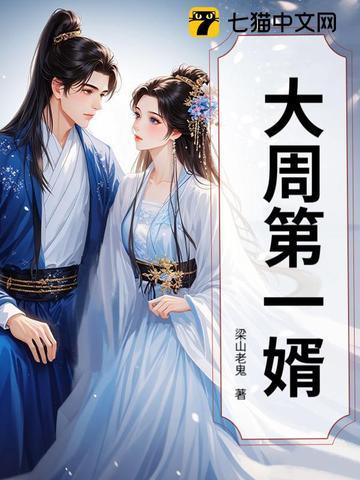大周第一婿 大周第一婿